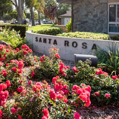 Flowers blooming in front of Santa Rosa community sign at Santa Rosa in Point Mugu, California