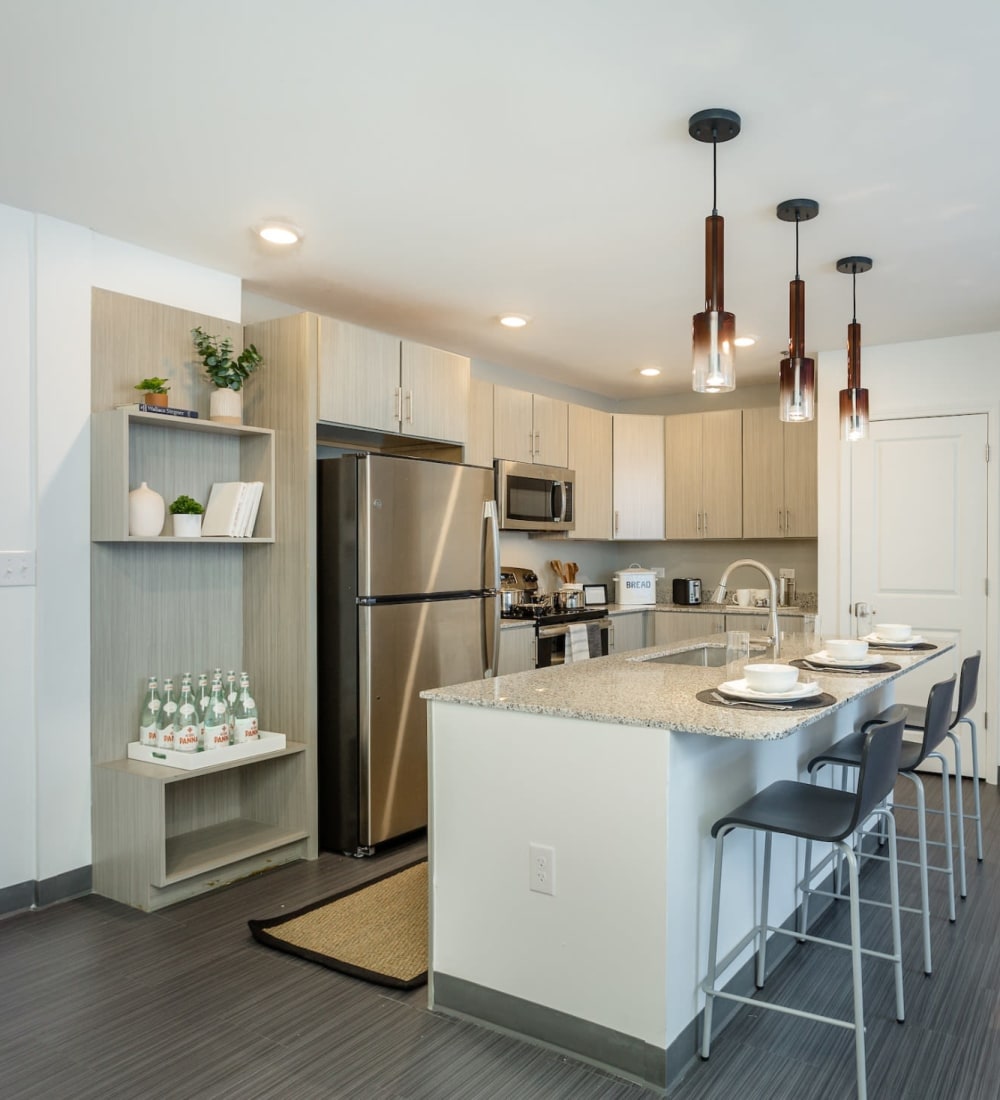 Gourmet kitchen with stainless steel appliances, a large island, and pendant lighting at The Altitude in Harrisonburg, Virginia