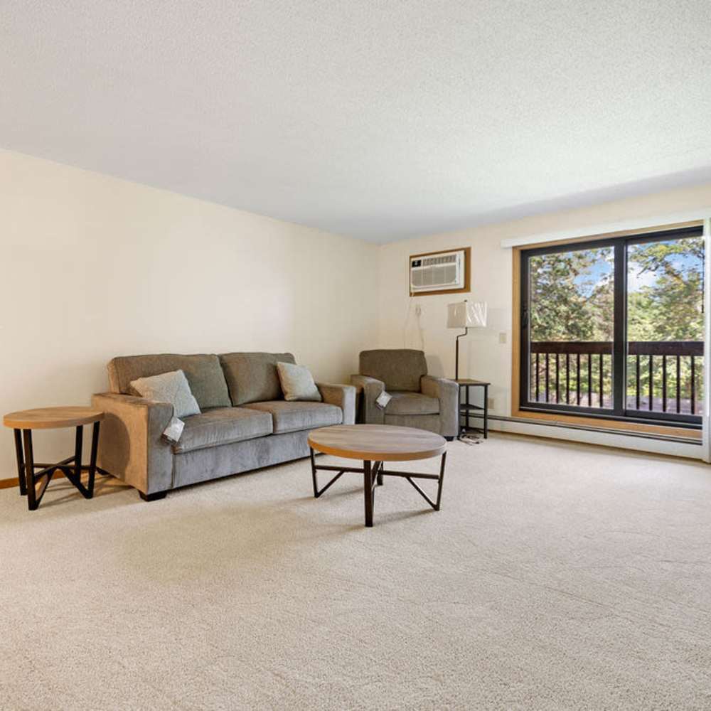 Living room with carpet flooring and patio sliding door at Solace on Lake Minnetonka in Spring Park, Minnesota