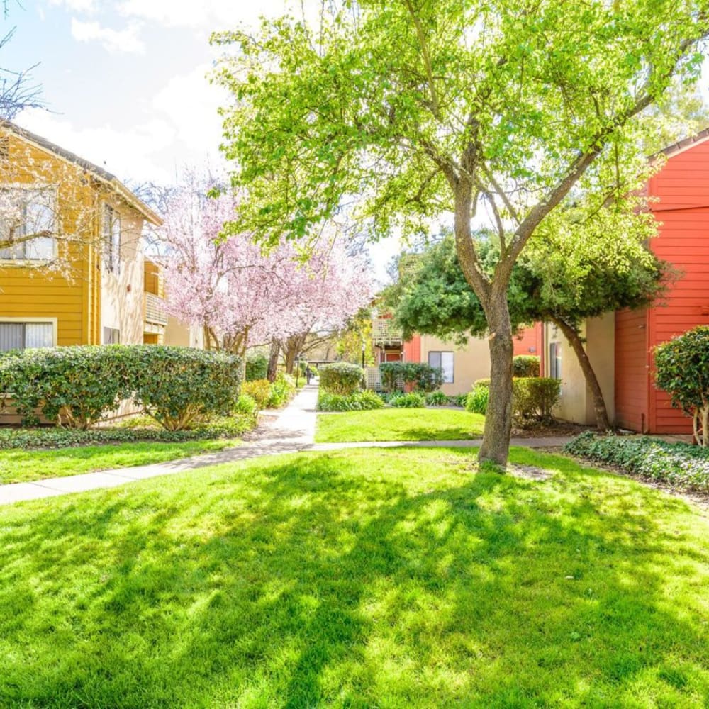 Exterior at Crossbrook Apartments in Rohnert Park, California