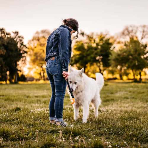 Charming outdoor space perfect for pet lovers at Pointe 28 in Ankeny, Iowa.