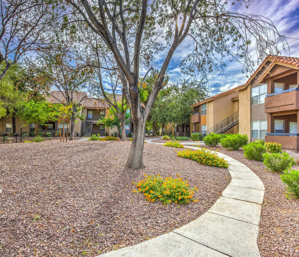Well-maintained landscaping at Solis at Flamingo in Las Vegas, Nevada