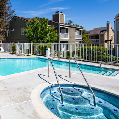 Community swimming pool with a spa at Haven Martinez in Martinez, California