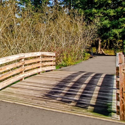 Wooden bridge over a creek approaching forest trails near Sofi at Cedar Mill in Portland, Oregon