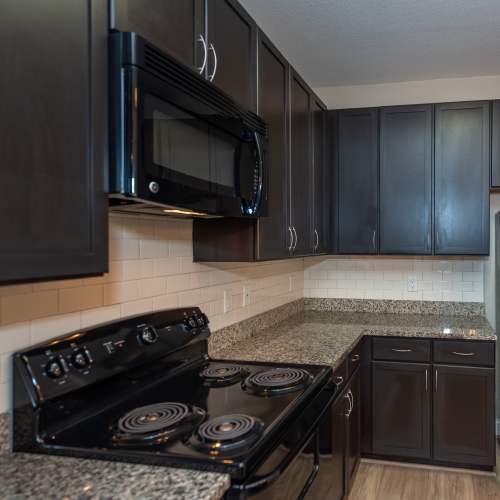 Photos of Red Knot at Edinburgh in Chesapeake, Virginia