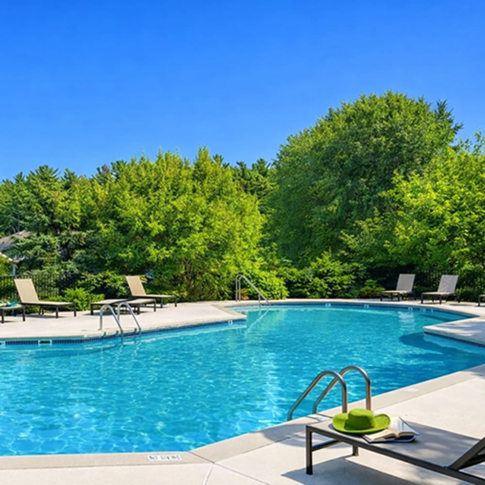 Sparkling resort-style pool surrounded by lounge chairs and lush greenery at 43 North Apartments in Grand Haven, Michigan