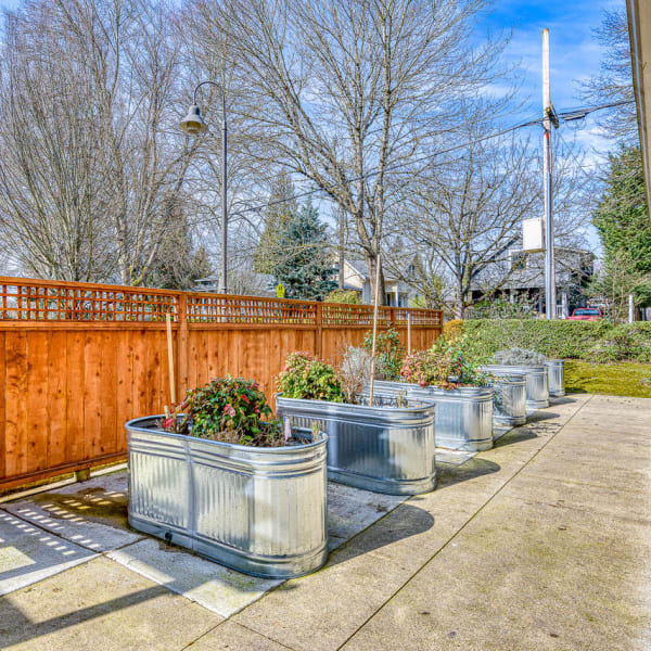 Resident garden at Sellwood Senior Living in Portland, Oregon.