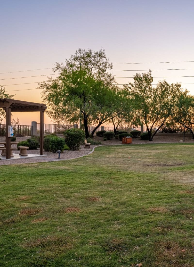 Dog park at dusk at Azure Creek in Cave Creek, Arizona