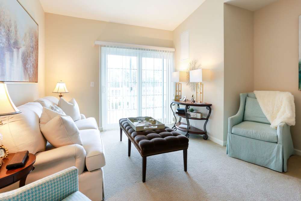 Living room of a modern apartment at Harmony at Wescott in Summerville, South Carolina