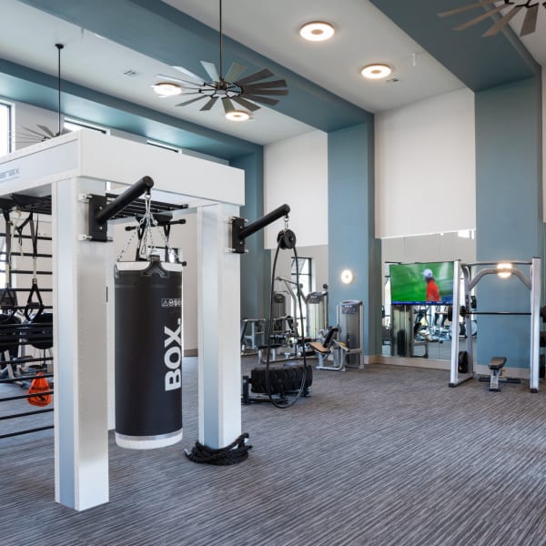 Fitness center with free weights and boxing equipment at Bellrock Market Station in Katy, Texas