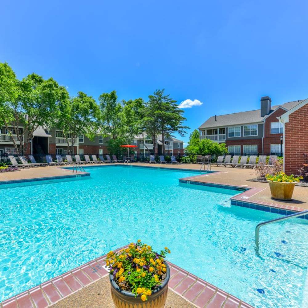 Swimming pool with relaxing lounge chairs at Madison at Schilling Farms in Collierville, Tennessee