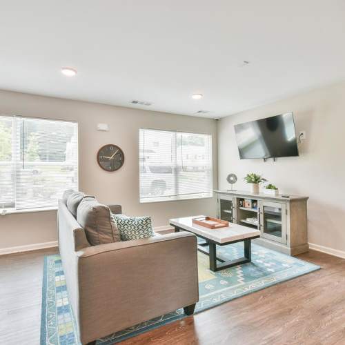 Living room with tv at Canaan Crossing in Madison, Georgia