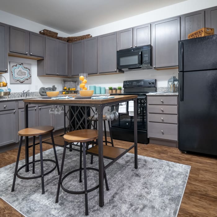 Modern kitchen at Cedar Broad, Richmond, Virginia