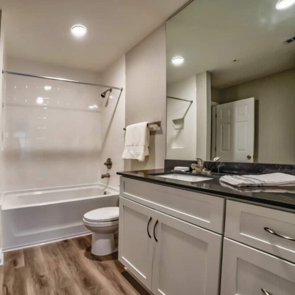 Double storage vanity mirror and tub in bathroom at Avonlea Towne Lake in Woodstock, Georgia