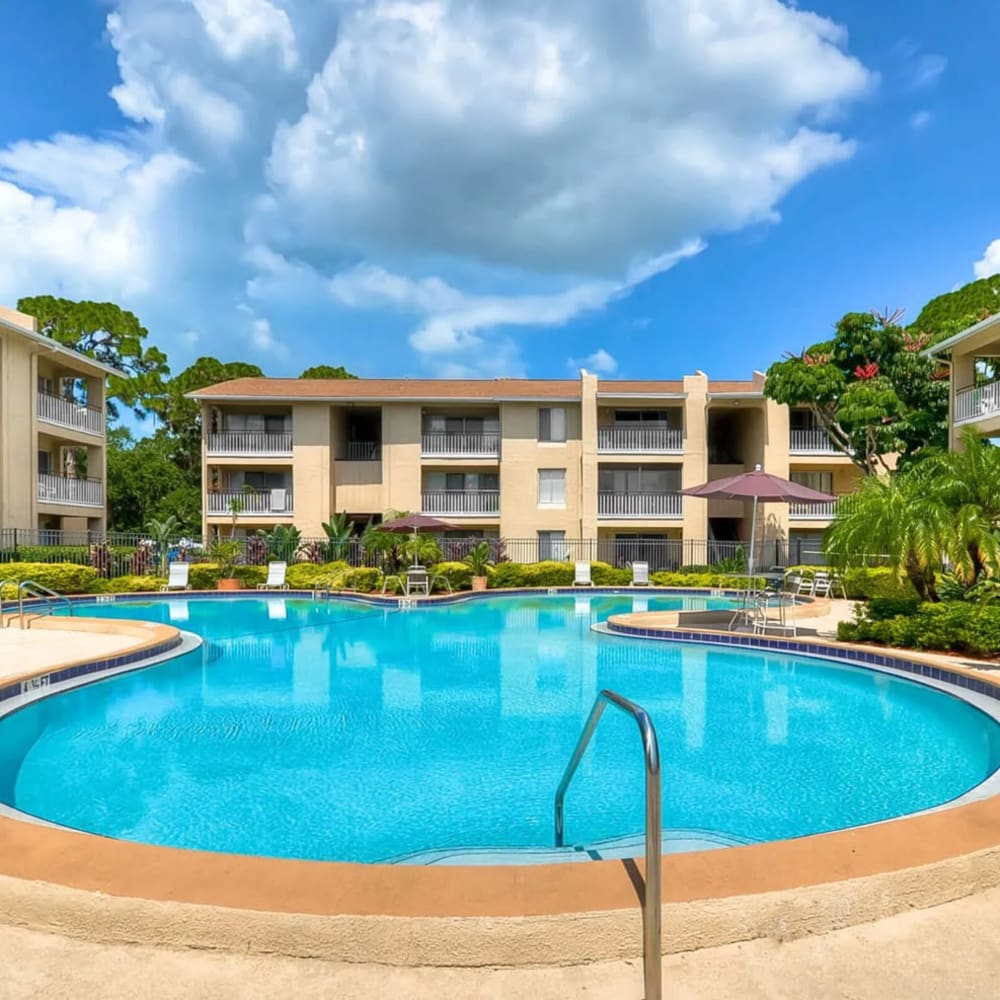 Pool at The Morgan in St Petersburg, Florida