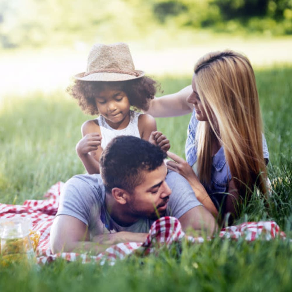 Resident family having a picnic in the grass near Sorrento in Stockton, California