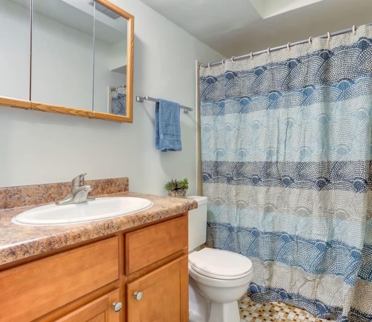 luxury amenities at Rustic Oaks