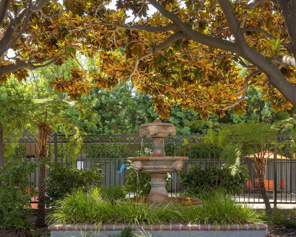 Trees and fountain at Palace Apartments in Concord, California