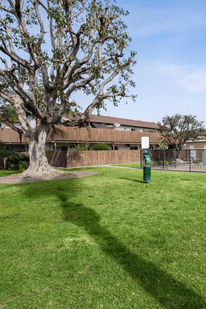 Grassy pet area at Newland Garden Apartments in Garden Grove California 