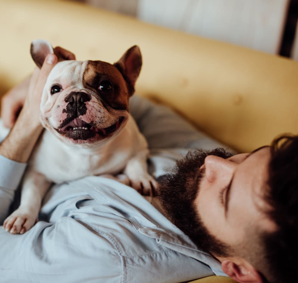 Resident and his Bulldog puppy relaxing on the couch in their new home at Sofi Warner Center in Woodland Hills, California