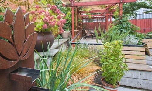 The garden at Nikkei Manor in Seattle, Washington