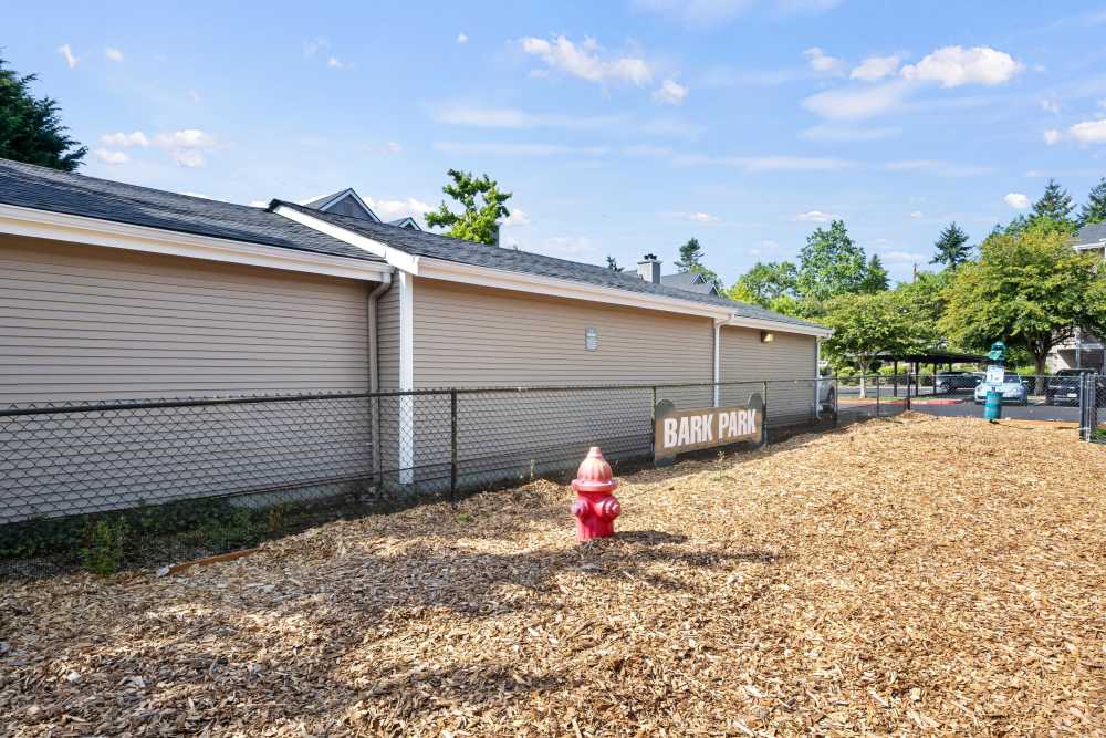 Have fun with your furry friend in the dog park at Wildreed Apartments in Everett, Washington