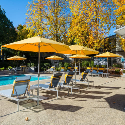 Umbrella seating by the pool at Tanglewood in Davis, California