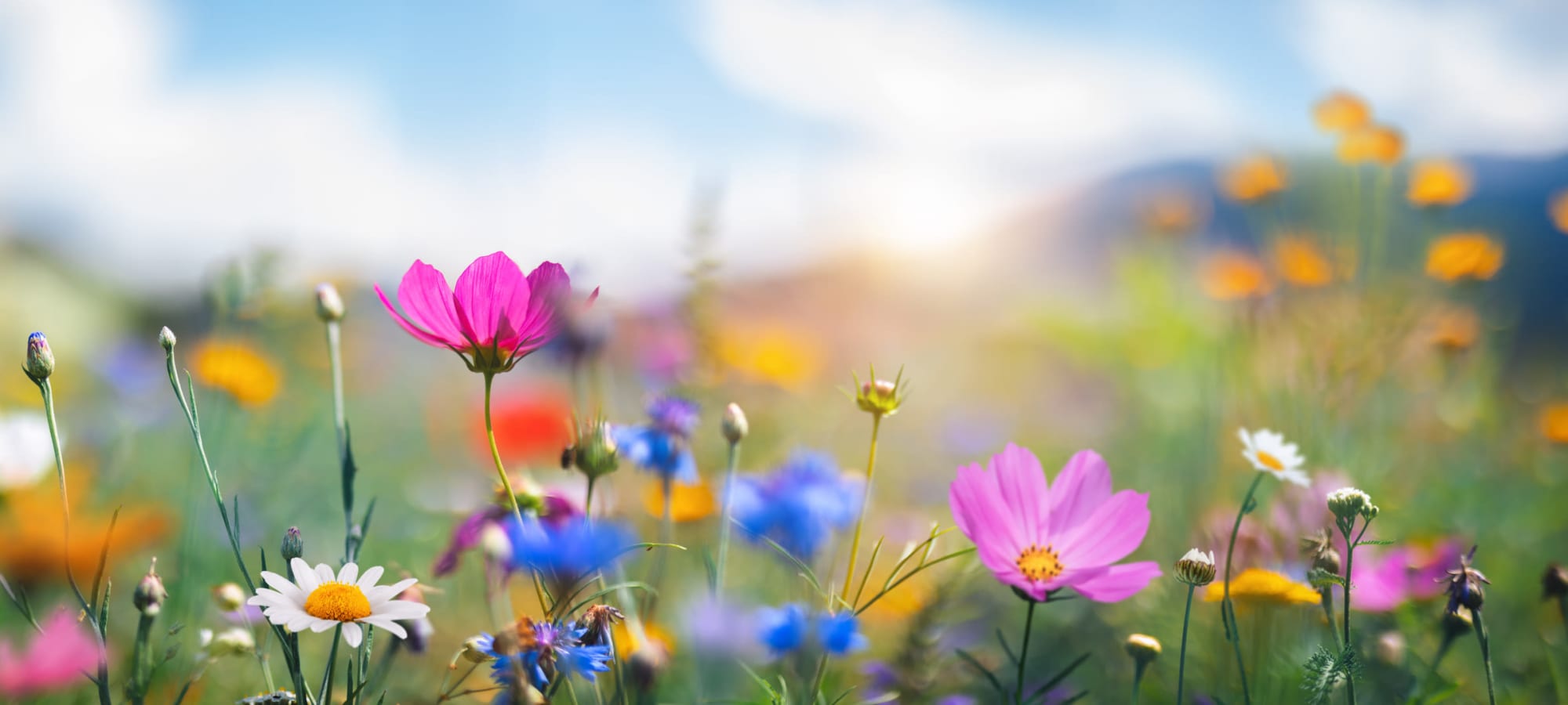 Wildflower Lodge offers senior living in La Grande, Oregon