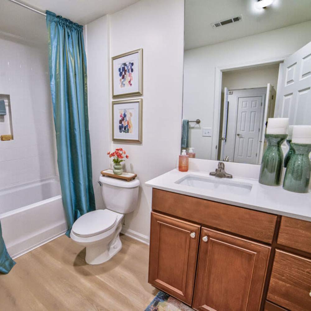 Double vanity mirror and shower at Avonlea Towne Lake in Woodstock, Georgia