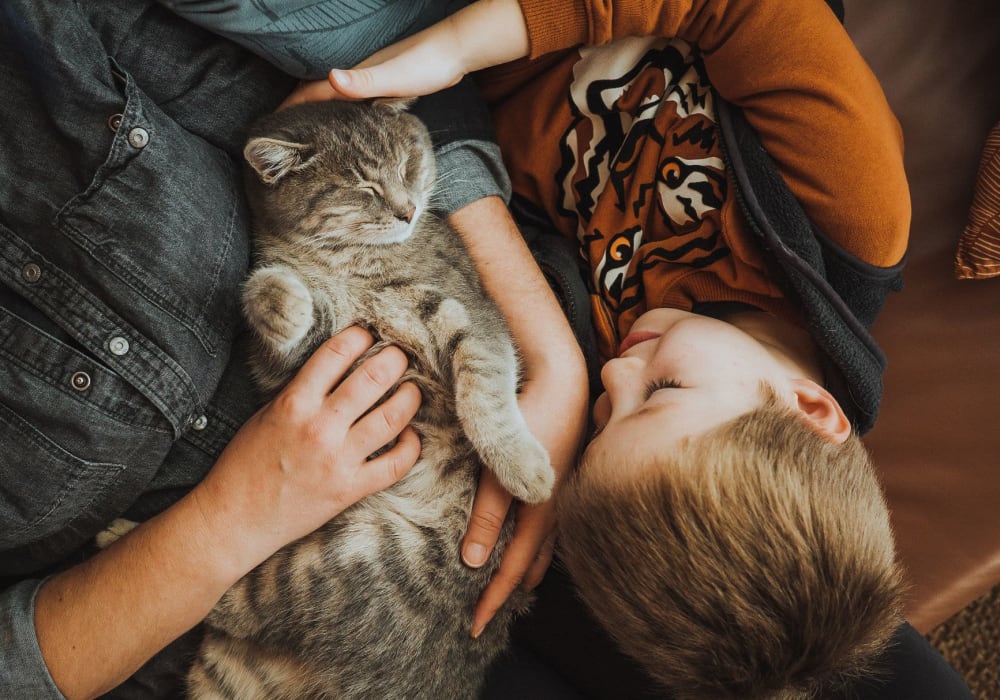 Residents snuggling with their cat at The Sage Collection in Everett, Washington