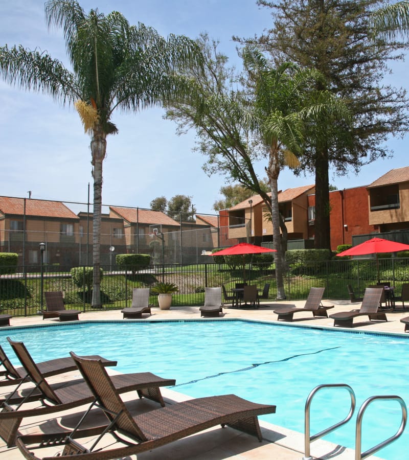 You'll love the community amenities here at Brookhollow Apartments