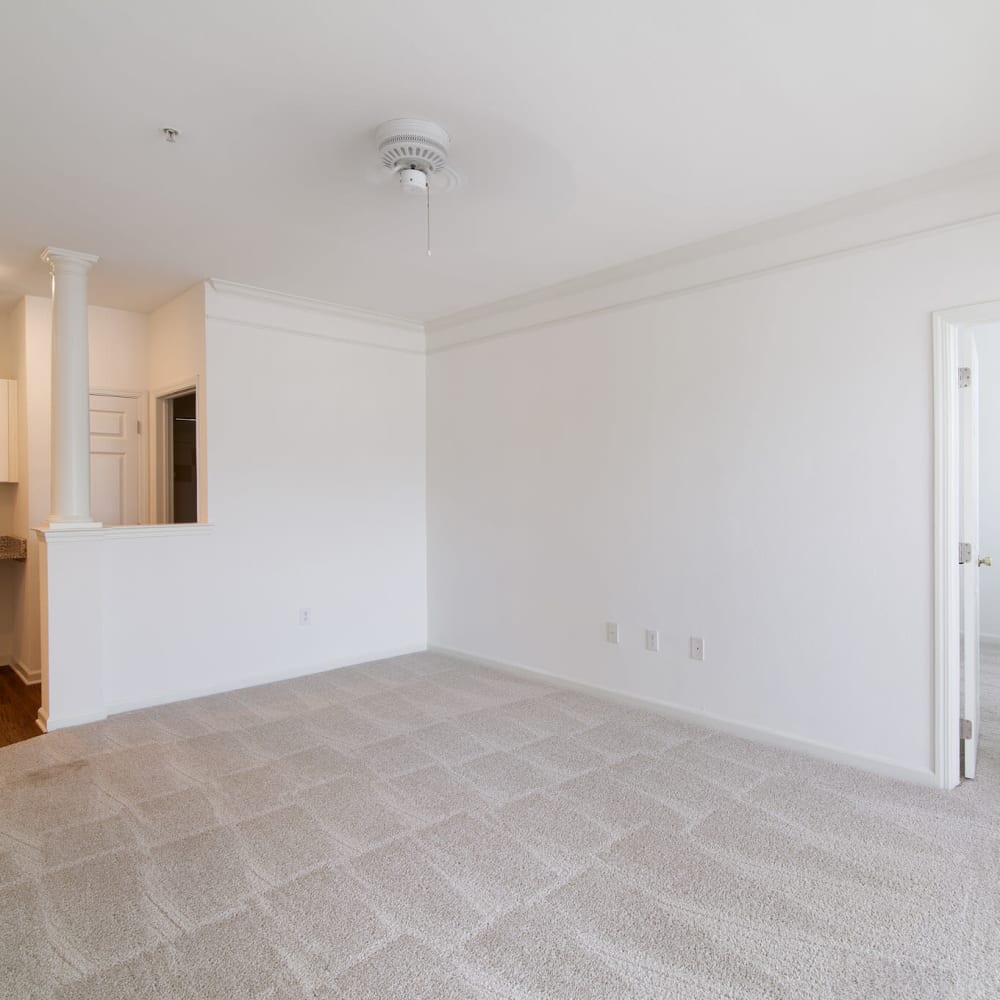 Neutral carpet and crisp paint at Avemore Apartment Homes in Charlottesville, Virginia