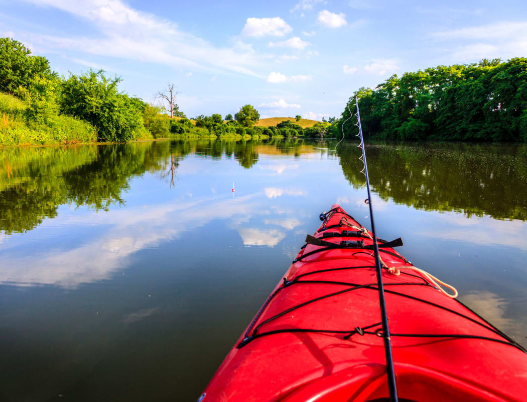 Canoeing down the river while fishing in Knoxville, Tennessee