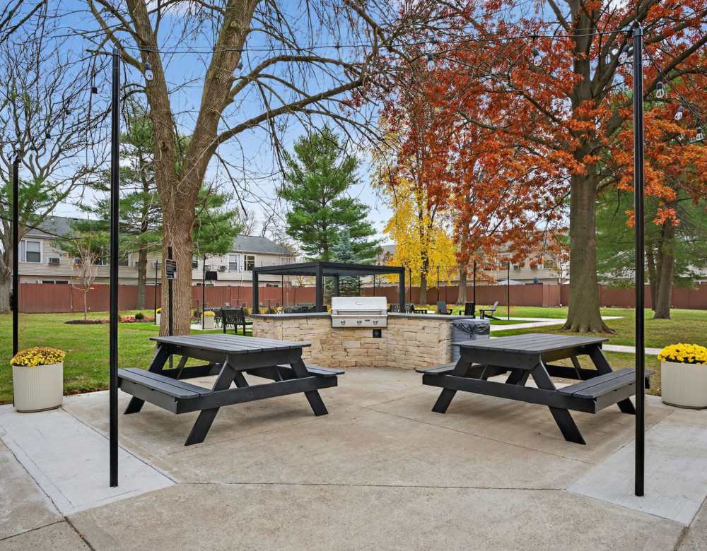 Grill and picnic area at Eagle Rock Apartments & Townhomes at Brighton in Brighton, Massachusetts