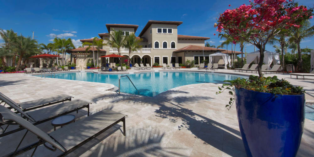 Beautiful resort-style swimming pool area at Doral Station in Miami, Florida