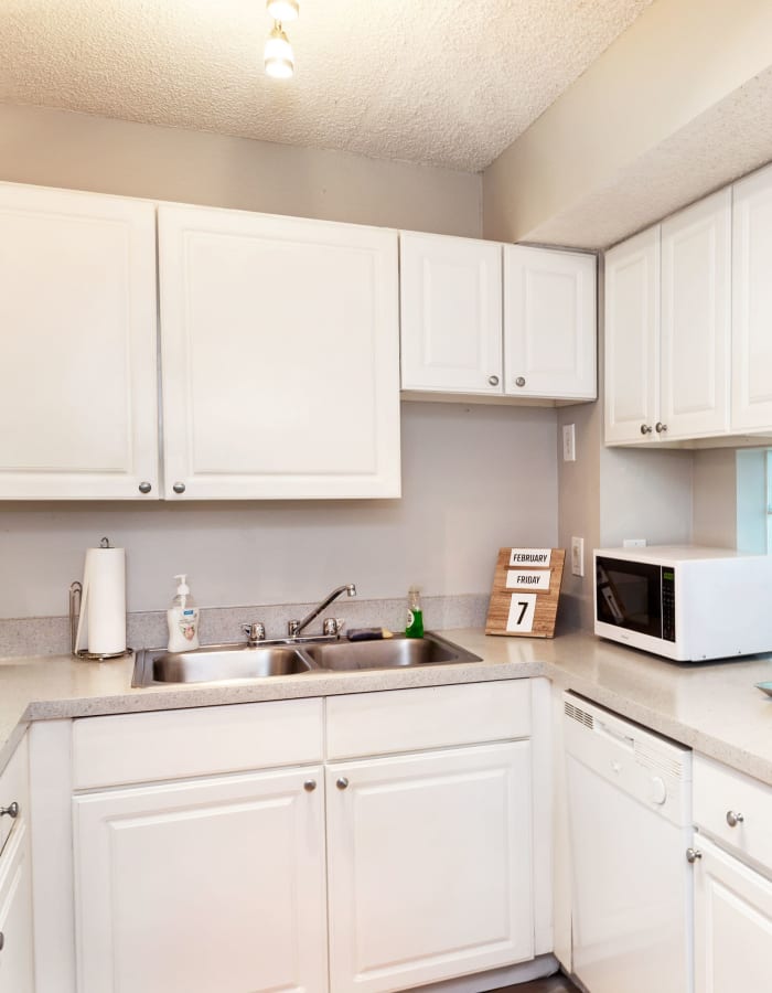 Kitchen with stainless-steel appliances at On50 in Tampa, Florida