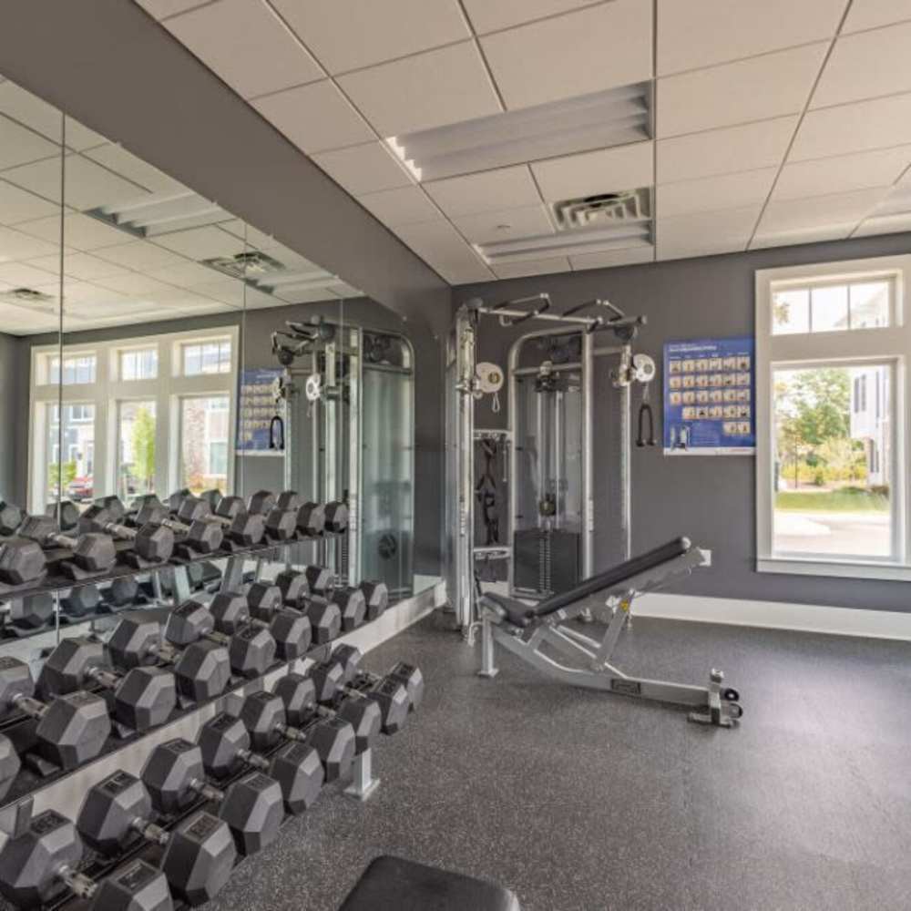 Modern fitness center with free weights at The Apartments At Kelton Station in Williamsburg, Virginia