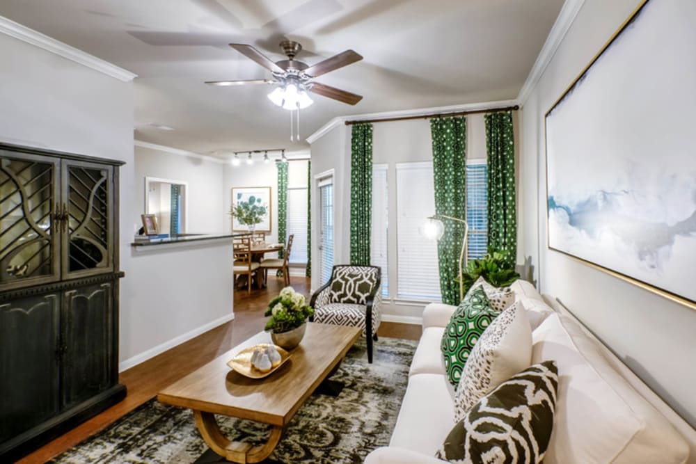 Cozy and modern 1 bedroom apartment at Sonterra Heights in San Antonio, Texas