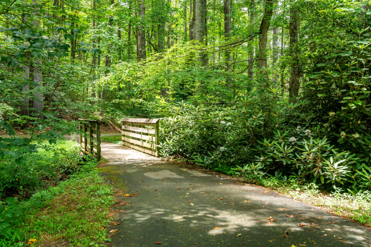Beautiful hiking trails near Reserve at Biltmore Park in Arden, North Carolina