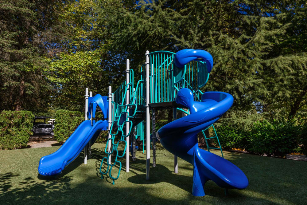 View of playground area at Skyline Redmond in Redmond, Washington