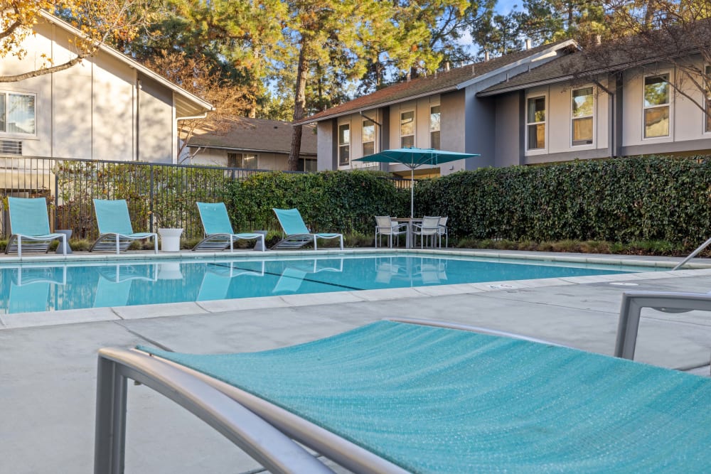 Comfortable pool area at Montecito Apartments in Santa Clara, California