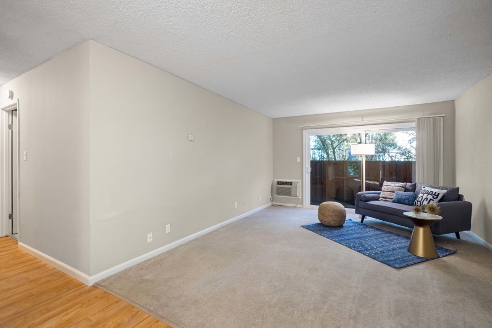 Ideal roomy living room area  at Montecito Apartments in Santa Clara, California