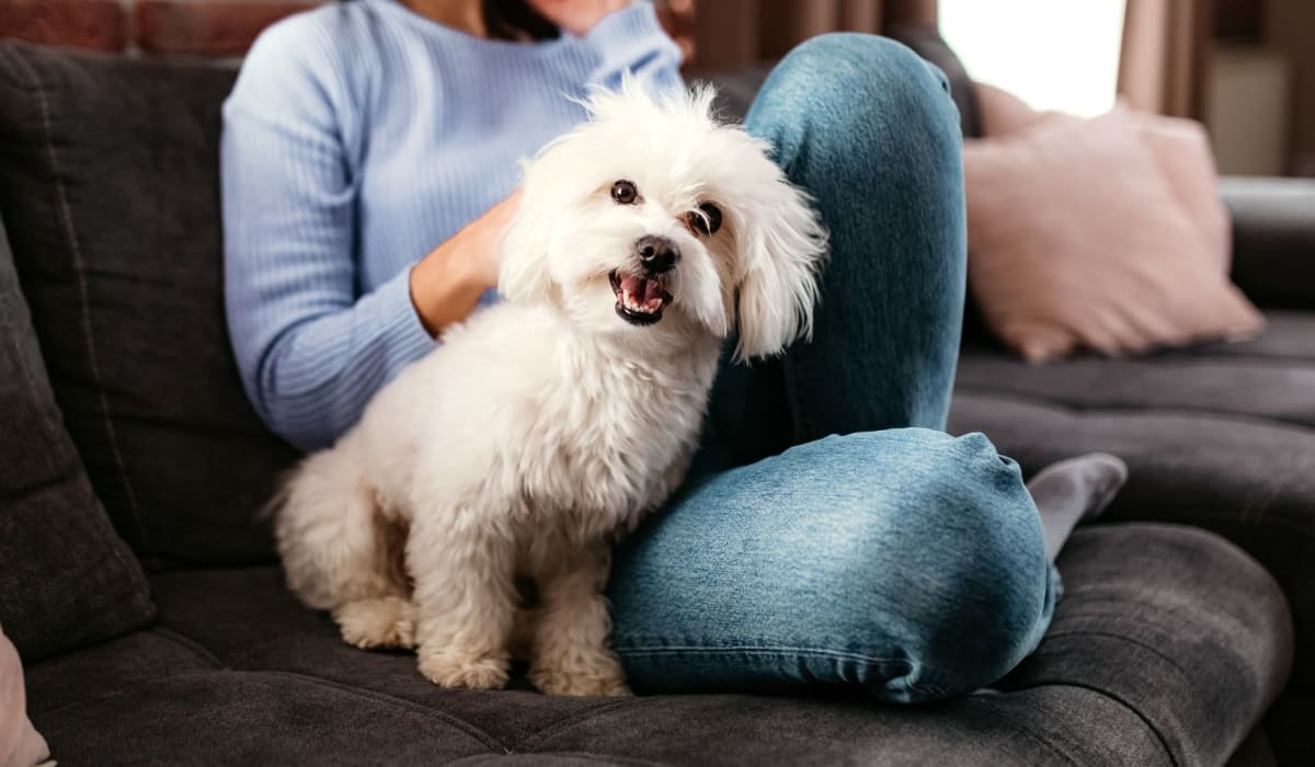 Happy resident with her dog at The Station in Houston, Texas