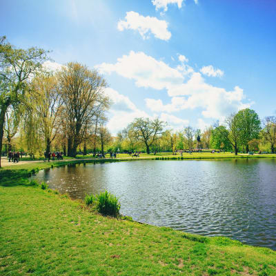 A lake near Eagleview in Joint Base Lewis McChord, Washington