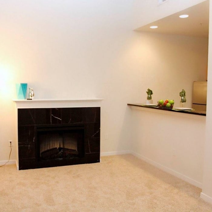 Fireplace in and apartment at The Collection at American Tobacco Center, Richmond, Virginia