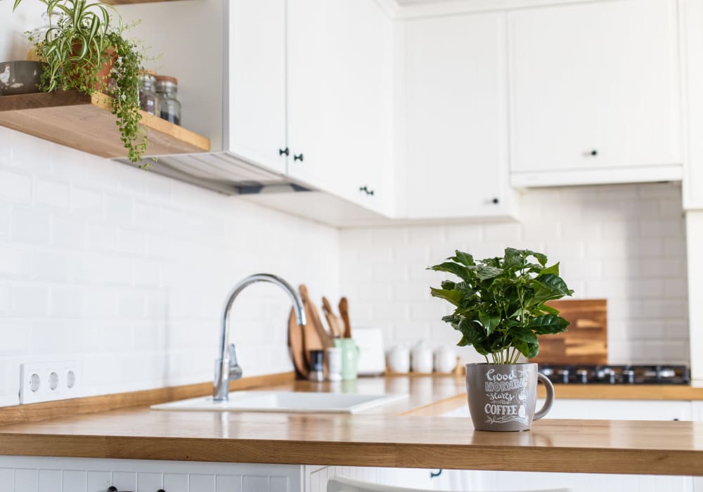 Spacious counter top and cabinetry at LARC at Burien in Burien, Washington
