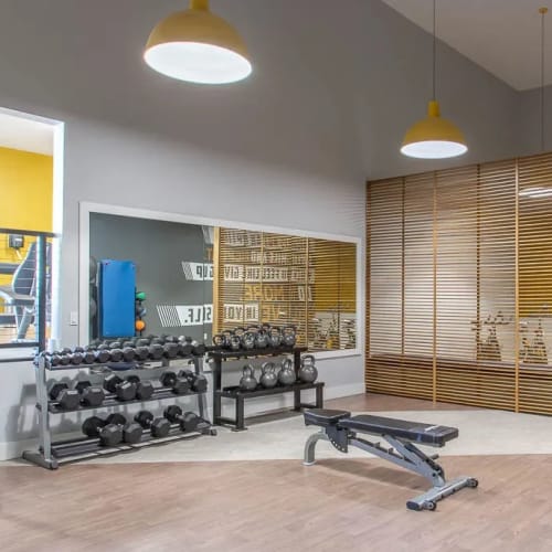 Weights in the fitness center at MonteVista in Beaverton, Oregon