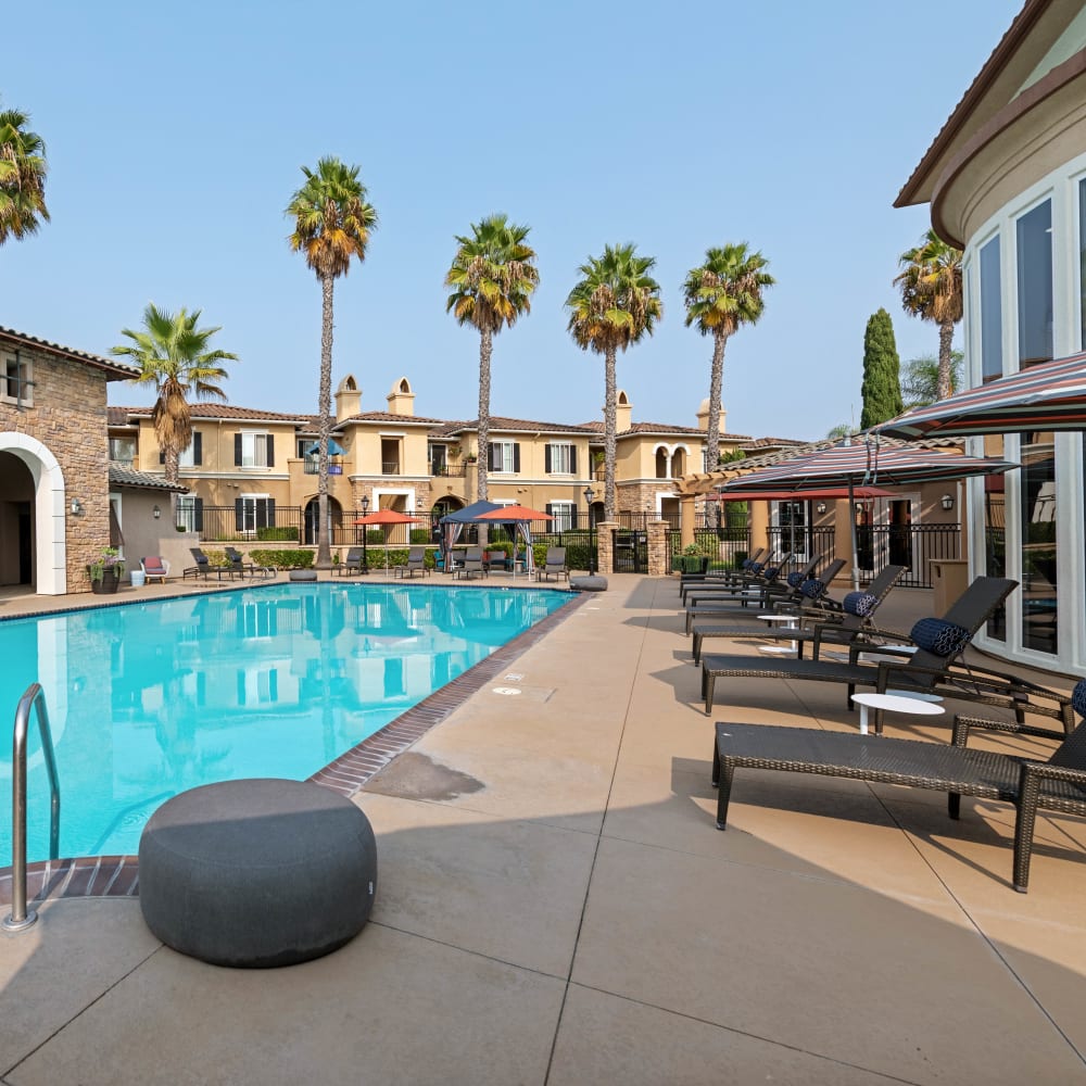 Beautiful swimming pool area at Sofi Shadowridge in Vista, California