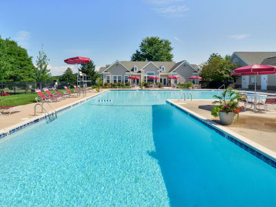 Westerlee Apartment Homes offers a swimming pool in Baltimore, MD