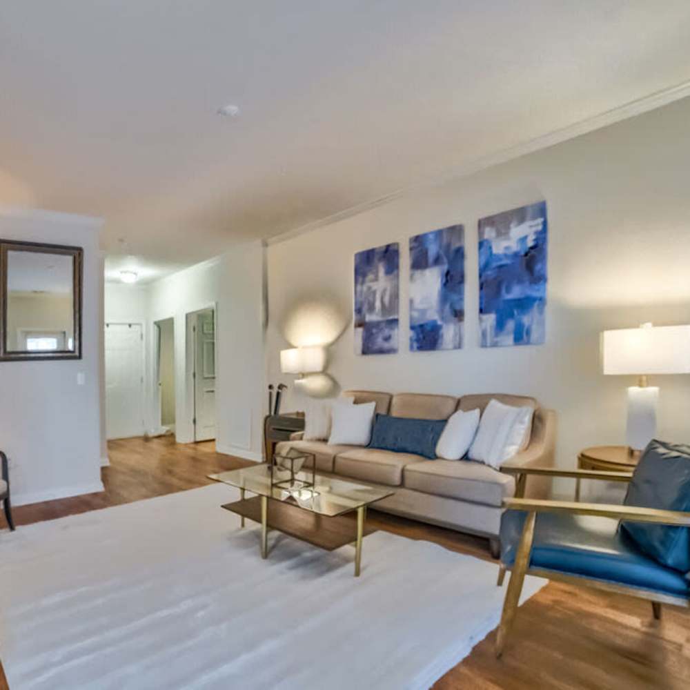 Living space at Avonlea Towne Lake in Woodstock, Georgia